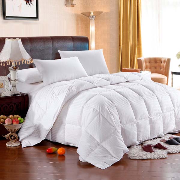 The best <a href=https://www.comfytouchbedding.com/Pillows.html target='_blank'>Pillows</a> for a luxurious night’s sleep