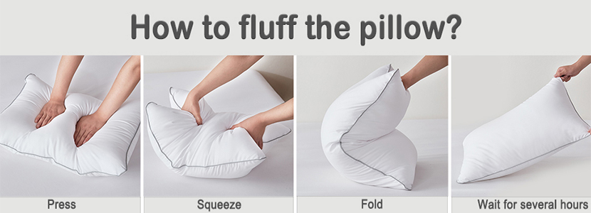  Down Alternative Pillows